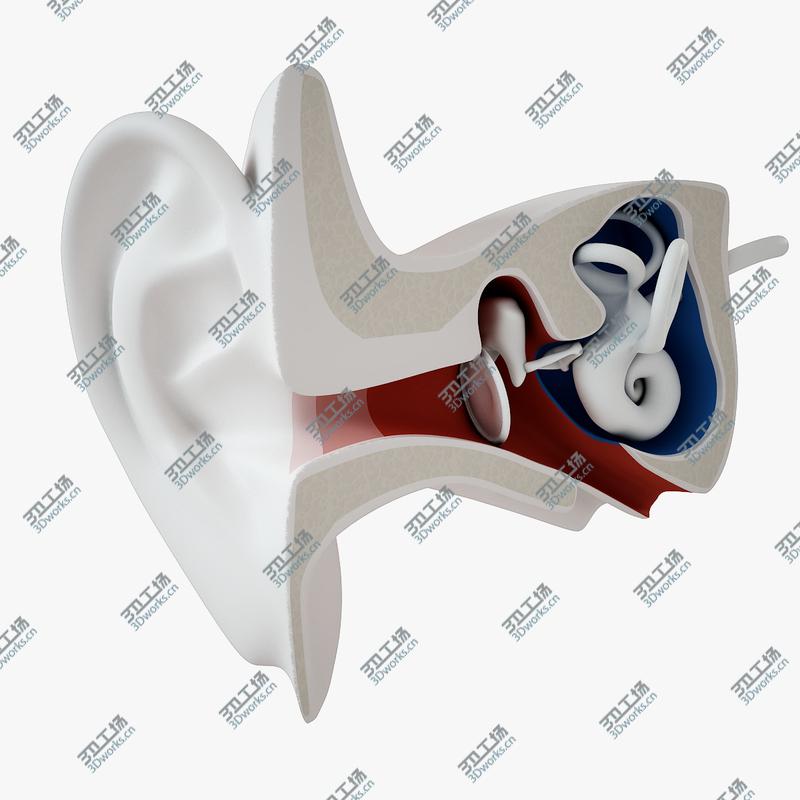 images/goods_img/202105073/Inner Ear/1.jpg